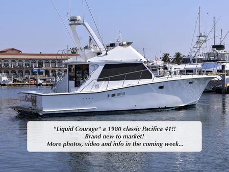 Pacifica 41-SPORTFISHER image