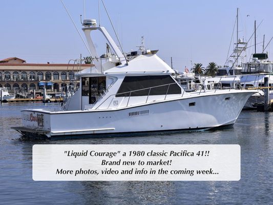 Pacifica 41-SPORTFISHER - main image