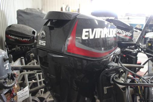 Evinrude E25 DPGLAFD image