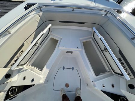 Blackfin 252-CC image