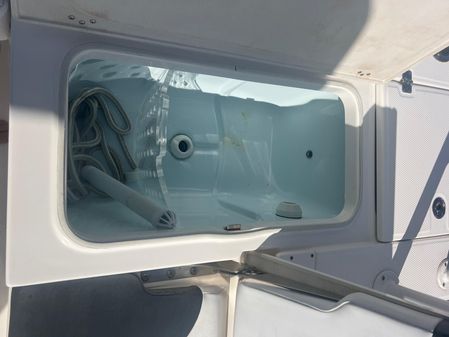 Robalo 246 Cayman image