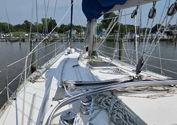 Canadian-sailcraft 36 image