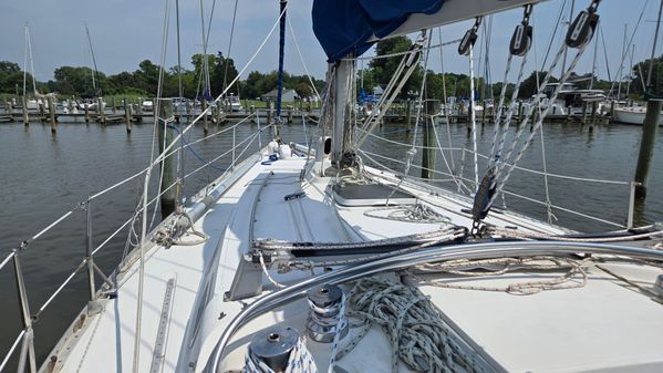 Canadian Sailcraft 36 image