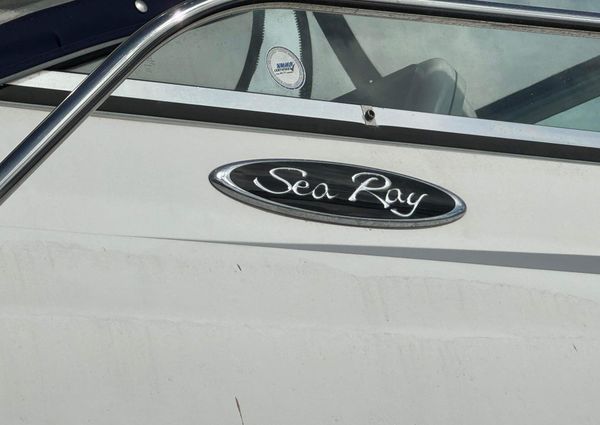 Sea Ray 290 Amberjack image