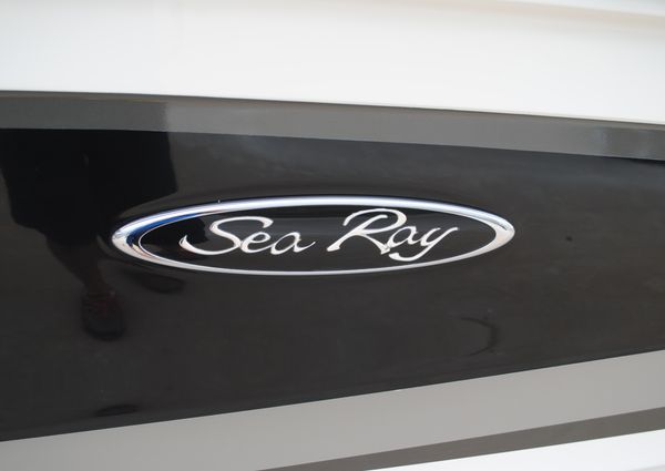 Sea-ray 190-SPX-OB image
