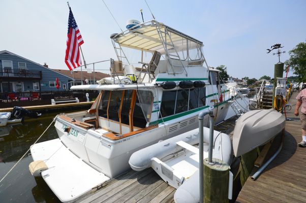 Bayliner 4550-PILOTHOUSE-MY - main image