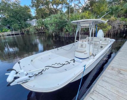 Carolina Skiff 238 DLV image