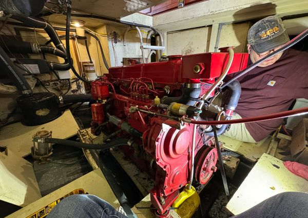 Sundowner-tug TUG-36 image