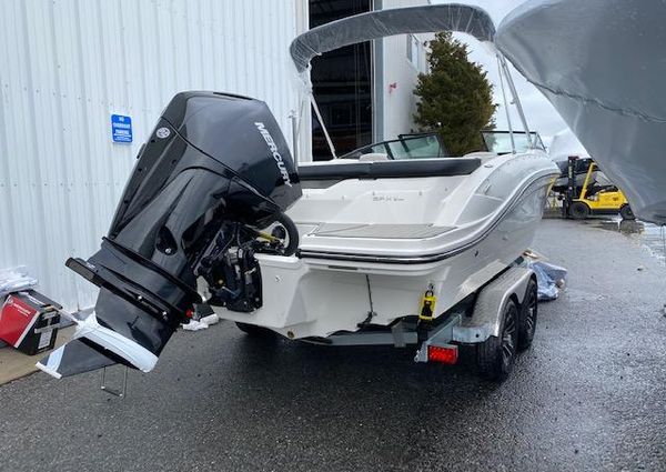 Sea-ray SPX-210-OUTBOARD image