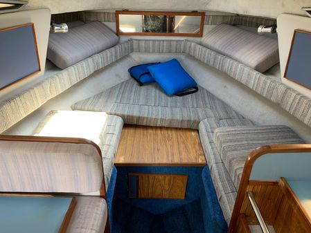 Sea Ray 268 Sundancer image