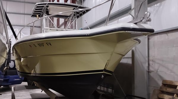 Stamas 290 Tarpon