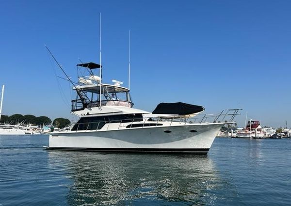 Mikelson 43-SPORTFISHER image