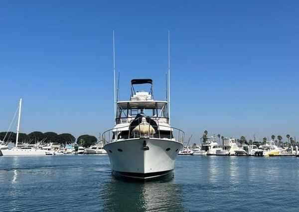 Mikelson 43 Sportfisher image