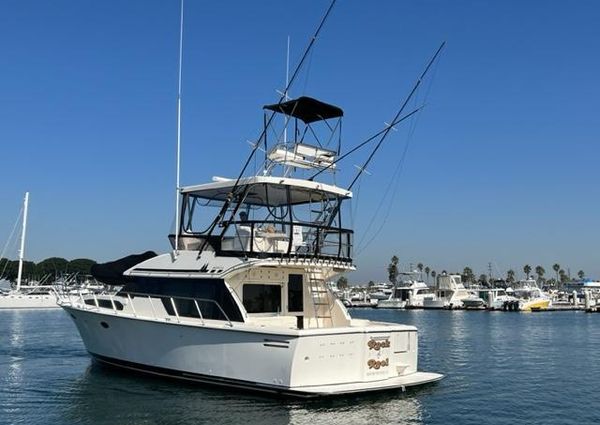 Mikelson 43-SPORTFISHER image
