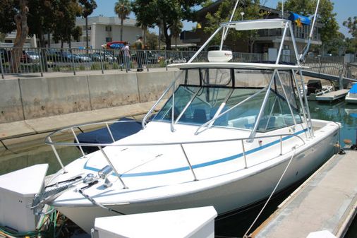 Phoenix Express Sportfisher with Tower image