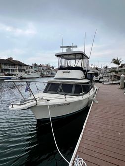 Bertram 31 Sportfisherman image