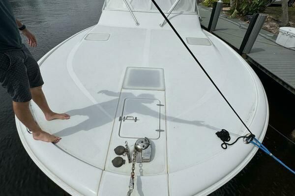 Luhrs 38 Open image