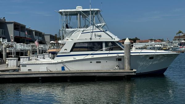 Bertram Convertable 38