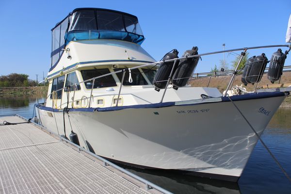 Tollycraft 37 Sedan - main image