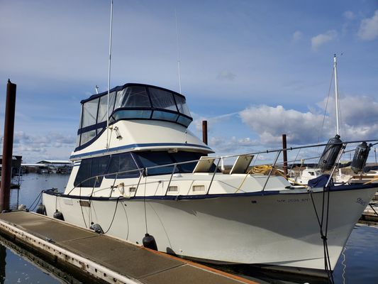 Tollycraft 37 Sedan - main image