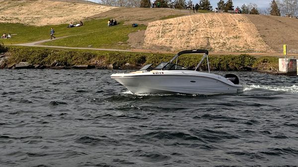 Sea Ray SPX 210 OB 