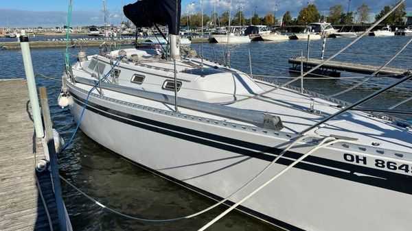 Islander 40
