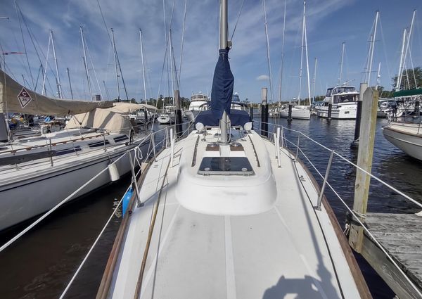 Tartan 37 image