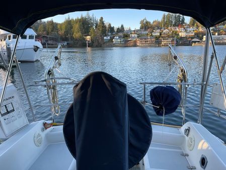 Freedom 38 image