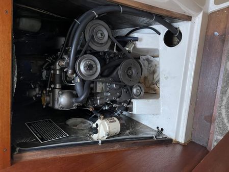 Freedom 38 image