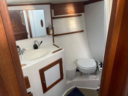 Freedom 38 image