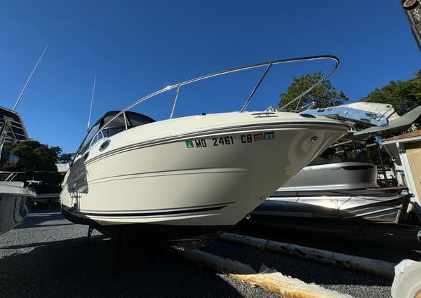 Sea Ray 260 Sundancer image