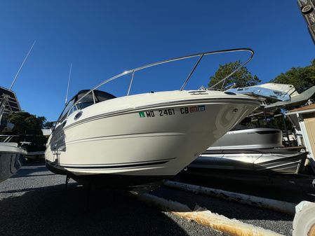 Sea Ray 260 Sundancer image