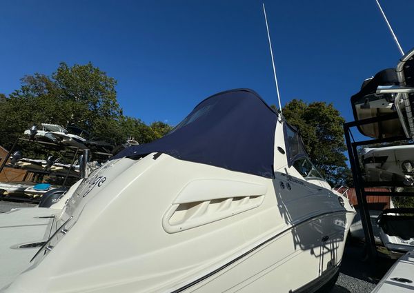 Sea Ray 260 Sundancer image