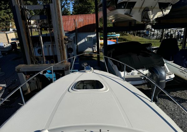 Sea Ray 260 Sundancer image