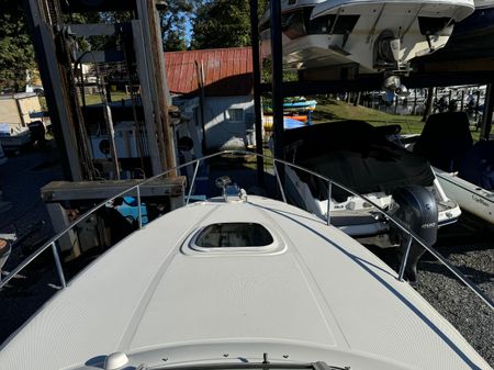 Sea Ray 260 Sundancer image