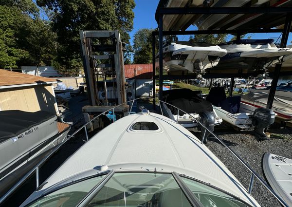 Sea Ray 260 Sundancer image