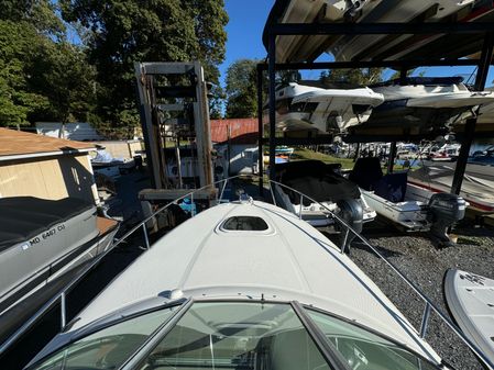 Sea Ray 260 Sundancer image