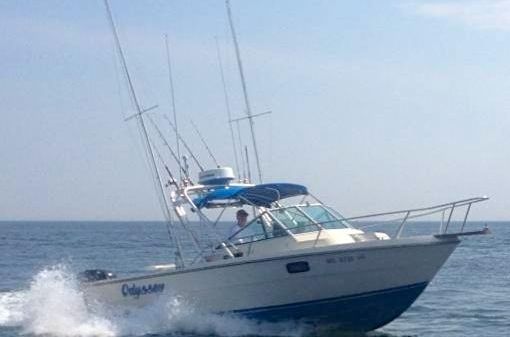 Tiara Sport 2500 Cuddy Cabin