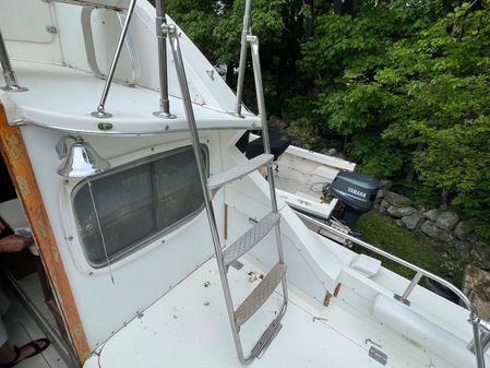 Bertram 28 Flybridge image