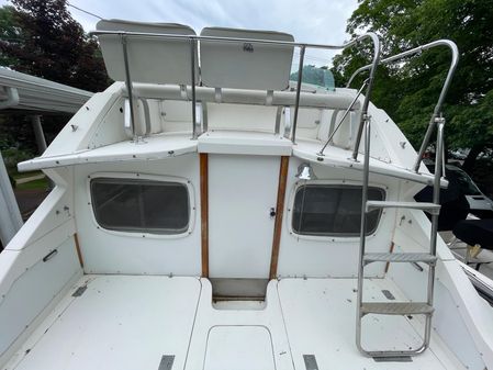 Bertram 28 Flybridge image
