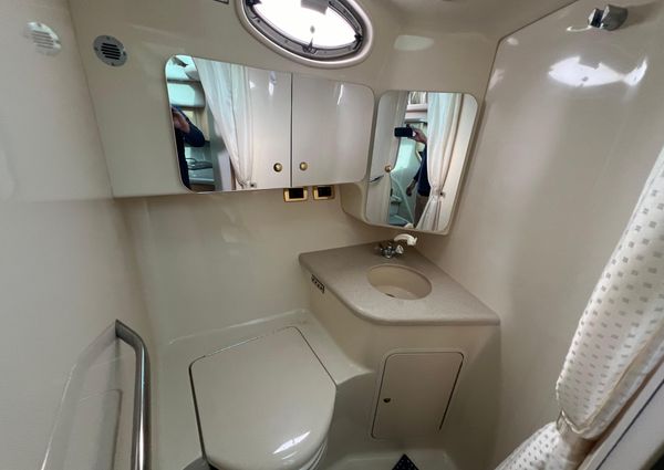 Sea Ray 380 Aft Cabin image