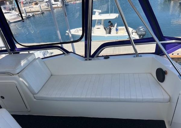 Riviera 43 Open Flybridge image