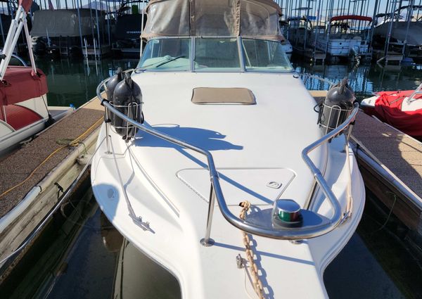 Sea-ray 250-DA image