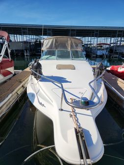 Sea-ray 250-DA image