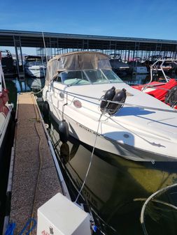 Sea-ray 250-DA image