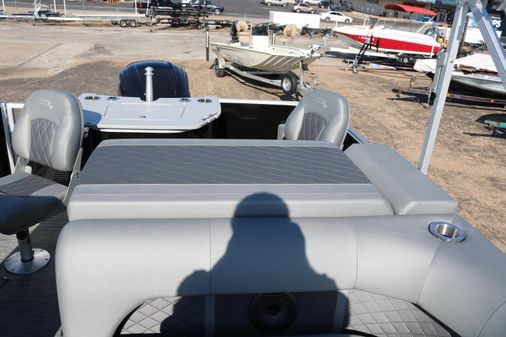 Bennington 22 L STERN FISH APG image