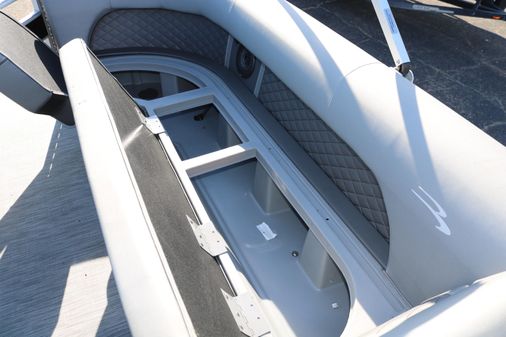 Bennington 22 L STERN FISH APG image