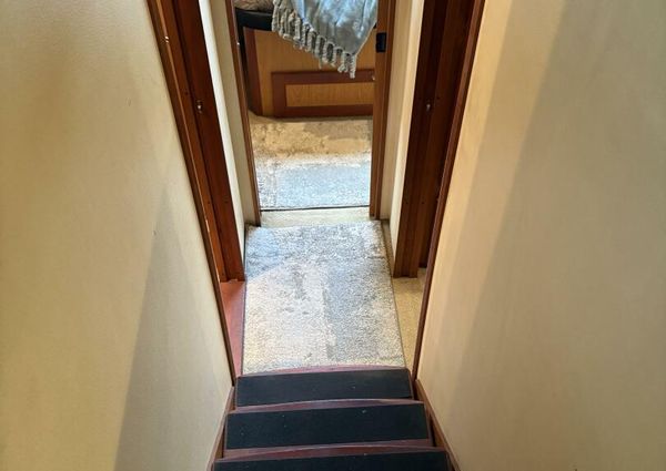 Luhrs 41 Convertible image