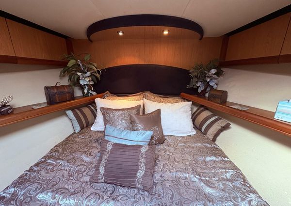 Luhrs 41 Convertible image