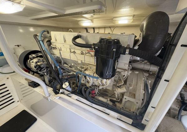 Luhrs 41 Convertible image